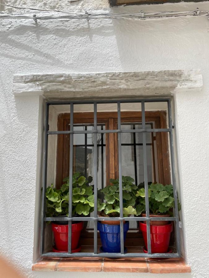 Casa De La Luna Serón Dış mekan fotoğraf